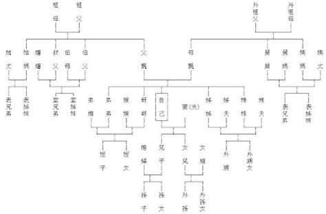 叔公算幾等親|血親之親系及親等圖 五等親